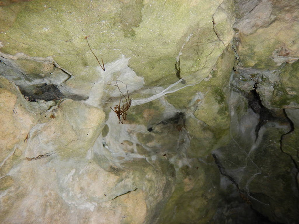détail d'un trou dans une toile d'araignée d'esprit de roche
 - Photo, image