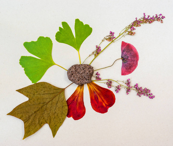 Trockene Pflanzen, Blätter, Herbarium mit Stein. flache Verlegekomposition. - Foto, Bild