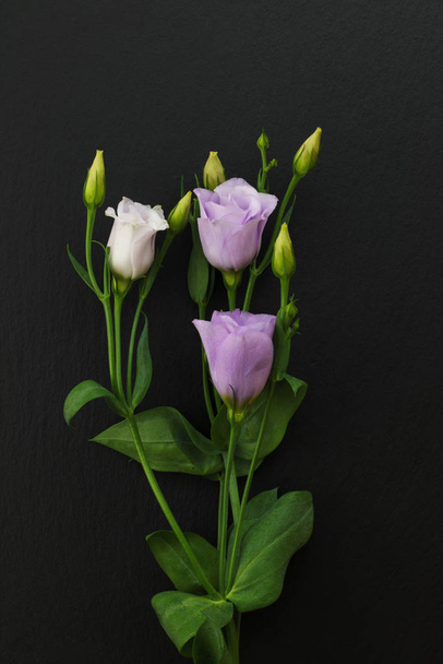 violette Eustoma-Blüten auf schwarzem Stein Hintergrund - Foto, Bild