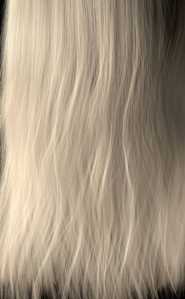 Haarlengte - Foto, afbeelding