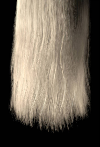 comprimento de cabelo
 - Foto, Imagem