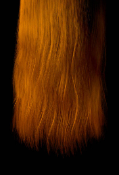 Haarlengte - Foto, afbeelding