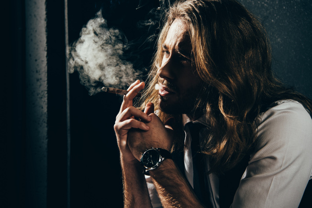 Man smoking cigar - Photo, Image