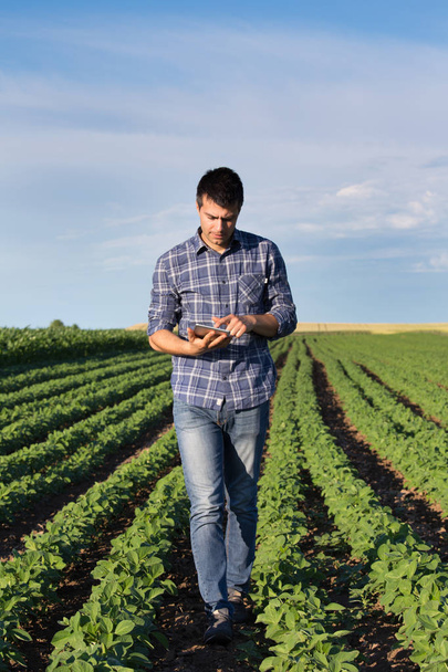 Agricultor com tablet em campo de soja
 - Foto, Imagem