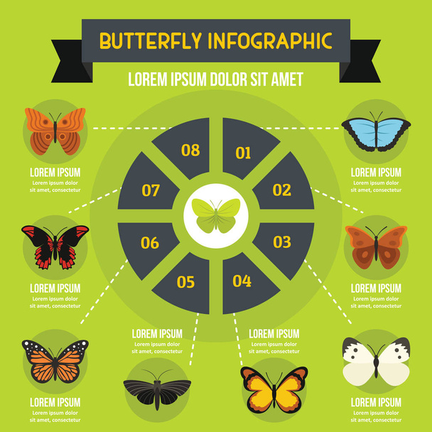Butterfly infographic concept, flat style - Vektör, Görsel
