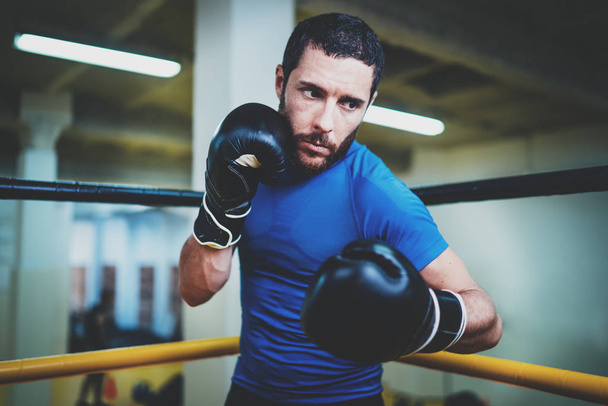 Male fighter in boxing gloves - Zdjęcie, obraz