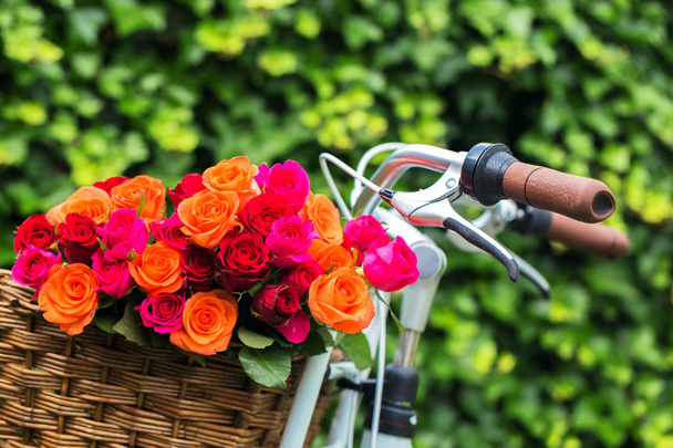 Monivärinen ruusut kukkakimppu polkupyörän kori
.  - Valokuva, kuva
