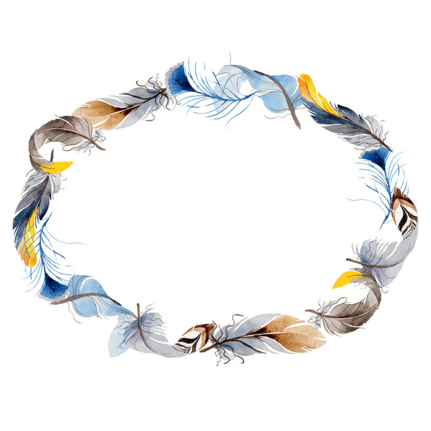 Watercolor bird feather from wing wreath. - Foto, immagini