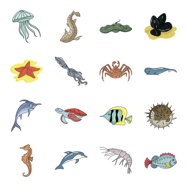 Sea animals set icons in cartoon style. Big collection of sea animals vector symbol stock illustration - Vektor, obrázek
