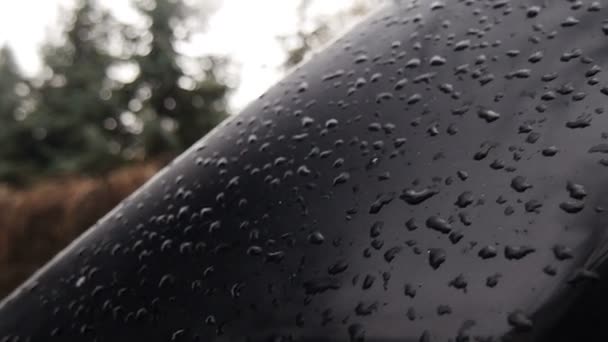 Close up van de waterdruppel op voorste autoruit in bos - Video