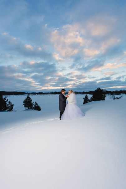 Bride and groom and winter lanscape - Foto, imagen