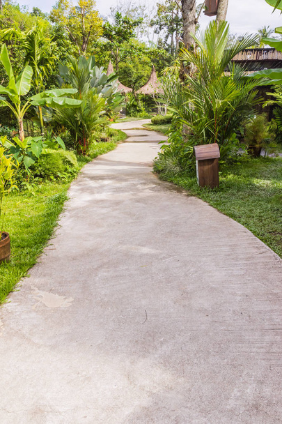 Concrete walkway in tropical garden - Fotoğraf, Görsel
