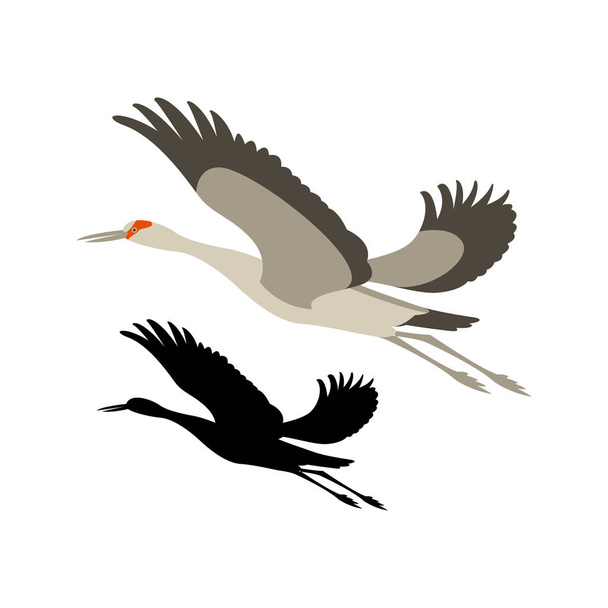 crane bird vector illustration black silhouette flat style - Vector, Image