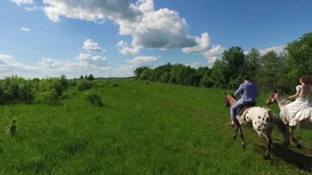 Nuori pari viettää aikaa yhdessä ratsastus hevosilla, antenni
 - Materiaali, video