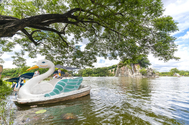 Barco de cisne aterrizando en el lago junto a la sombra de un árbol muy antiguo
 - Foto, imagen