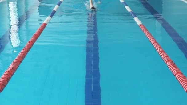 Chica nadadora en forma saltando y animando en la piscina
 - Metraje, vídeo