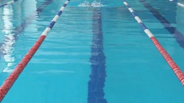 jonge vrouw in bril en GLB schoolslag lijnstijl in het blauwe water binnen race zwembad zwemmen - Video