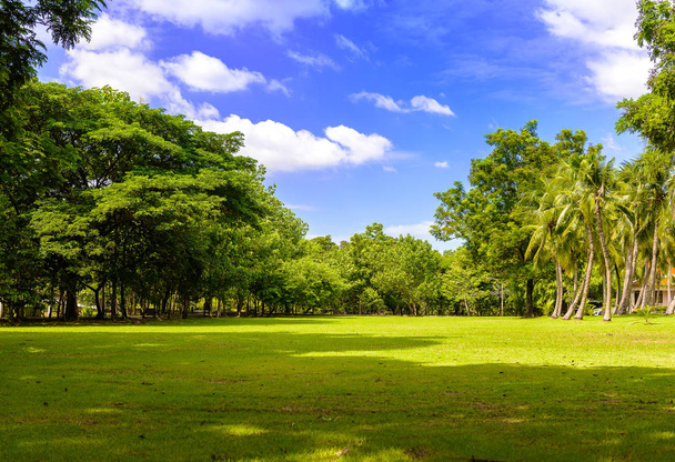 木々、青い空、スリランカ ナコンラチャシマ Khuean で芝生の豊かさ - 写真・画像
