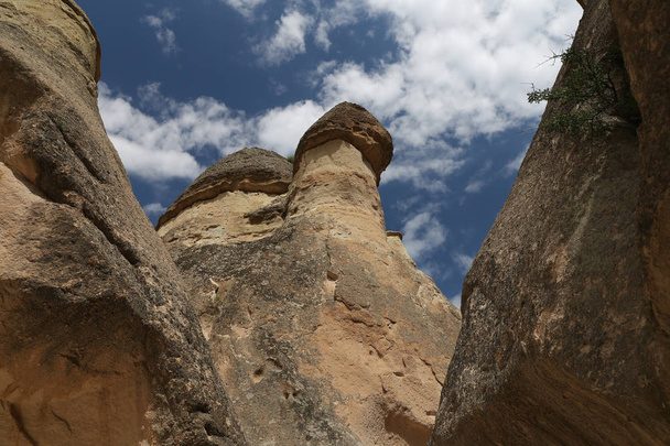 Formacje skalne w Pasabag dolinie mnichów, Cappadocia - Zdjęcie, obraz