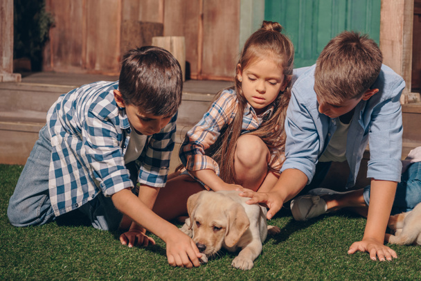 kids with cute labrador puppy - Photo, Image