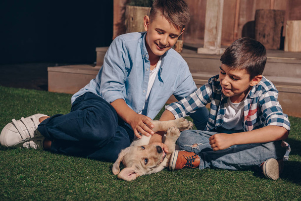 jongens spelen met labrador pup - Foto, afbeelding