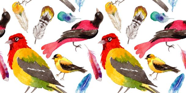 Sky birds of paradise  pattern in a wildlife by watercolor style. - Fotografie, Obrázek