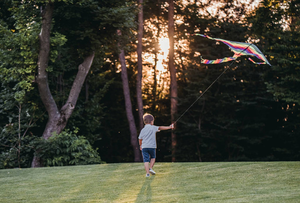 Boy with kite - Foto, Imagem