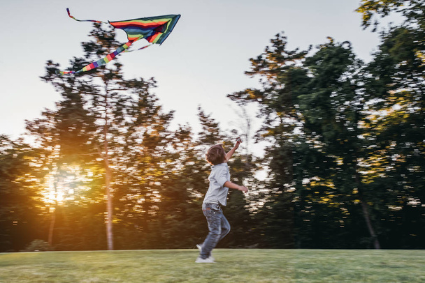 Boy with kite - Фото, изображение