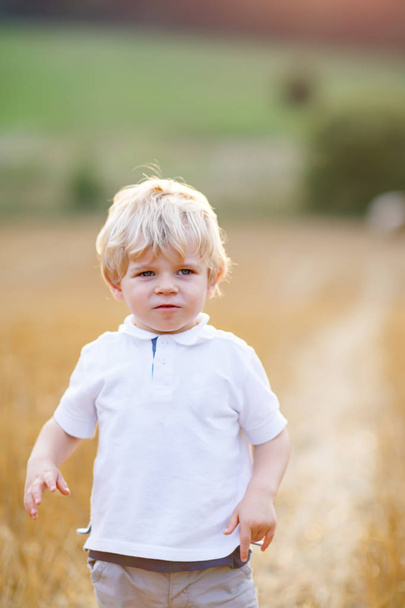Happy blond kid boy enjoying sunset in wheat field. - Zdjęcie, obraz