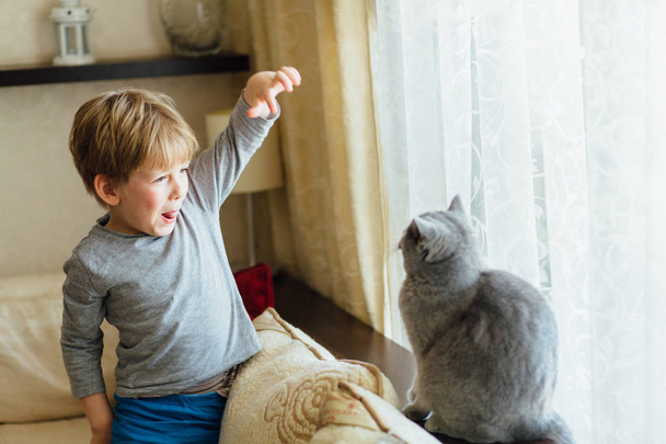 Χαριτωμένο μικρό αγόρι 5 ετών παίζει με γκρι γάτα στο σπίτι. - Φωτογραφία, εικόνα