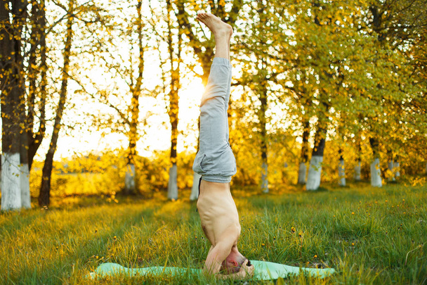 junger Mann beim Yoga im Park bei Sonnenuntergang. Gesunder Lebensstil - Foto, Bild