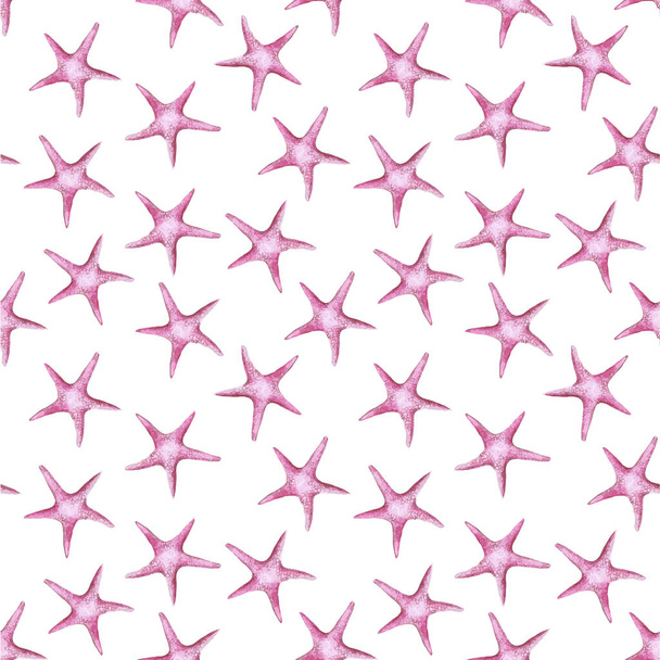 Imagen de una acuarela de color rosa clase estrella de mar invertebrados tipo equinodermos
 - Vector, imagen