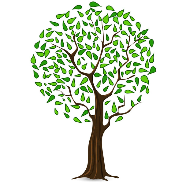 Beautiful tree with green leaves. - Vector, Imagen