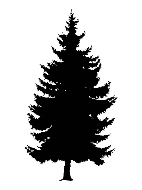 Silhueta de pinheiro
 - Vetor, Imagem