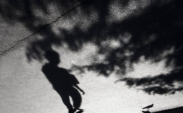Egy fiú, a galamb és a fák koronája elmosódott árnyék - Fotó, kép