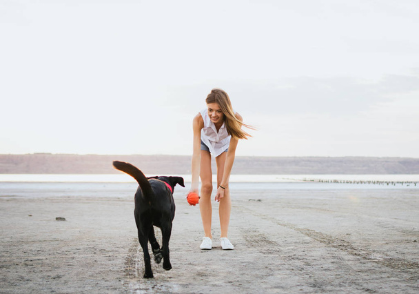 Jeune femme jouant et dressant labrador retriever chien sur la plage au coucher du soleil
 - Photo, image