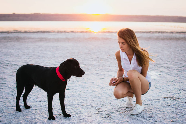 Young female training labrador retriever dog on the beach at sunset - Fotó, kép