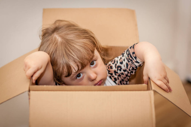 Girl out of the box - Photo, Image