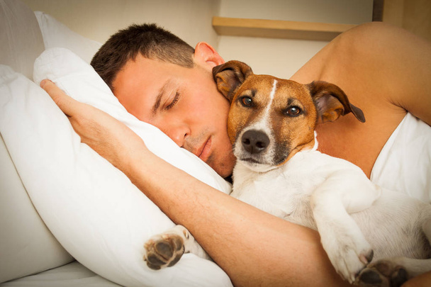 dog and owner sleeping or dreaming together  - Photo, image