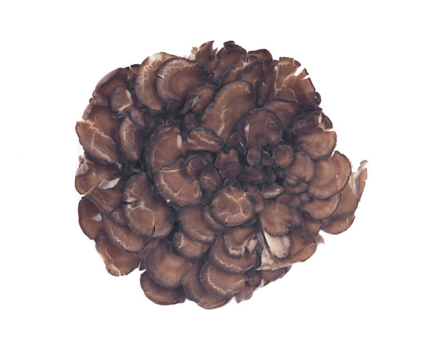 Biologische maitake immuun versterking medicinale paddenstoel - Foto, afbeelding