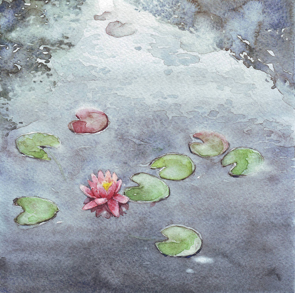 рожеві nenuphar озеро
 - Фото, зображення