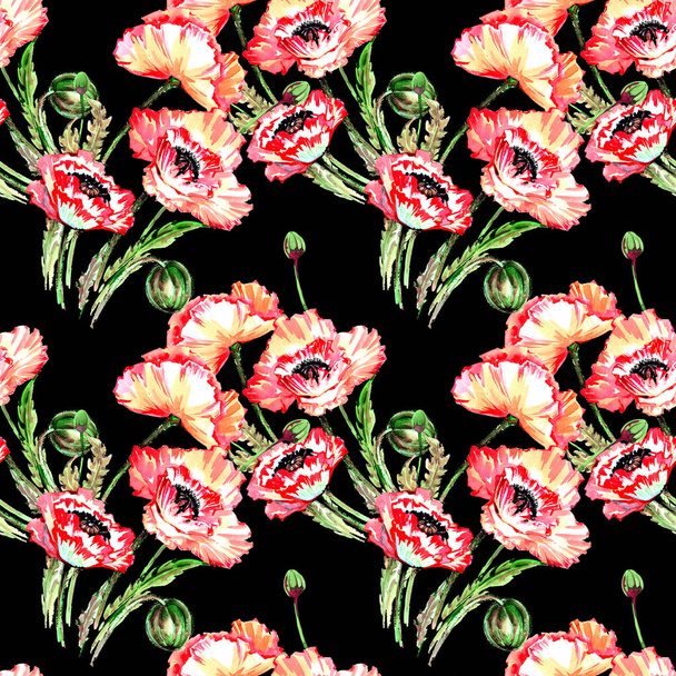 Wildflower poppy flower pattern in a watercolor style. - Photo, Image