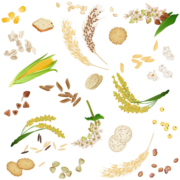 グルテン フリー穀物食品のシームレス パターン - ベクター画像