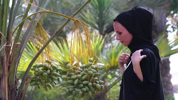 Γυναίκα όμορφη Αραβικά yang αγγίζοντας τις ημερομηνίες στο δέντρο. - Πλάνα, βίντεο