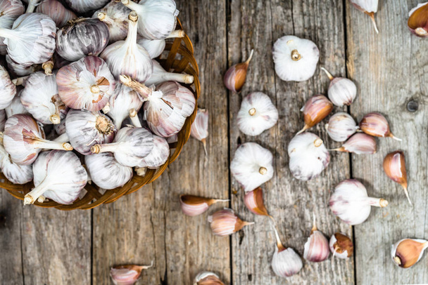 Fresh garlic bulb, top view. Local farm vegetables on wooden table. - Foto, afbeelding
