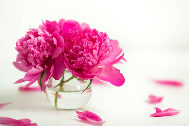 Transparent vase with pink peonies on a white background - Fotografie, Obrázek