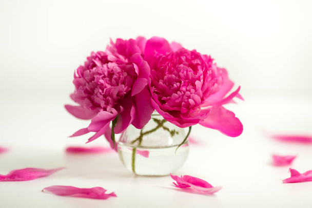 Transparent vase with pink peonies on a white background - Фото, зображення