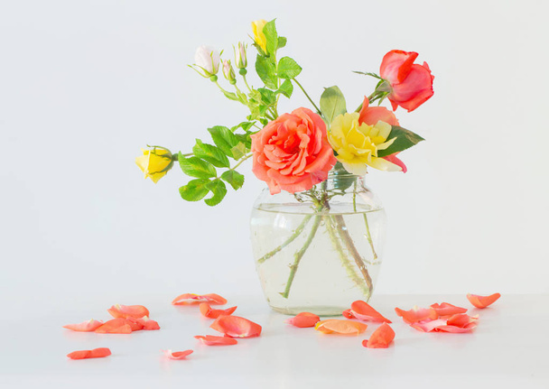 roses in glass vase on white background - Foto, afbeelding