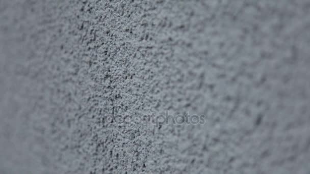 The wall is painted in gray plaster - 映像、動画