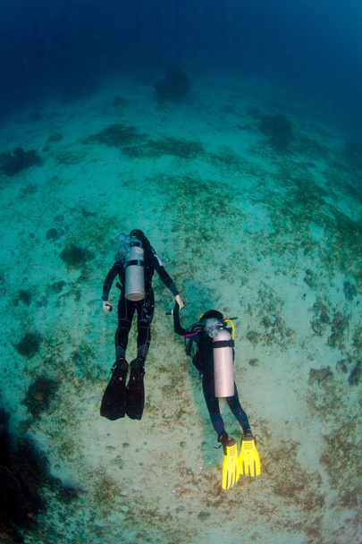 Dos buceadores bajo el agua
 - Foto, imagen